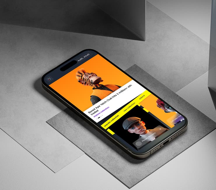 Project screenshot 1